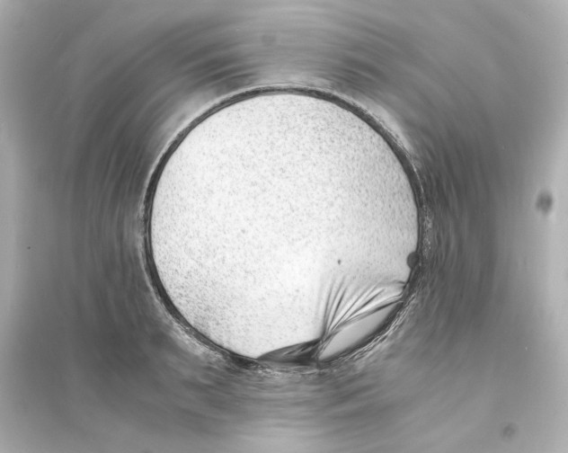 X0000093570895200711121034