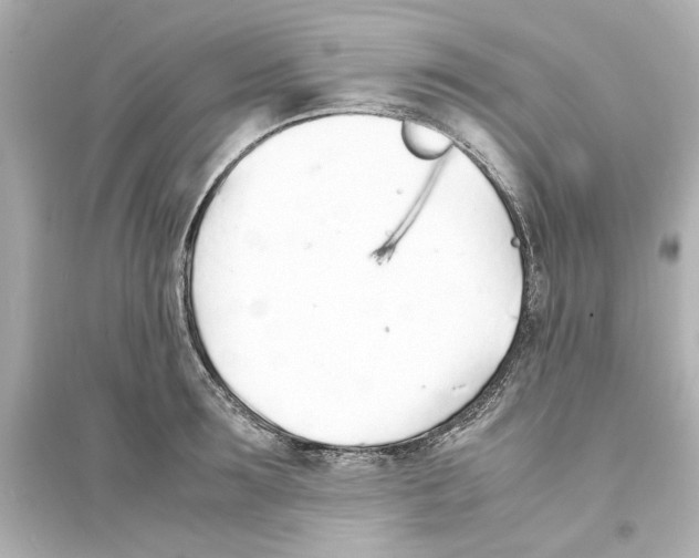 X0000093570899200711121034