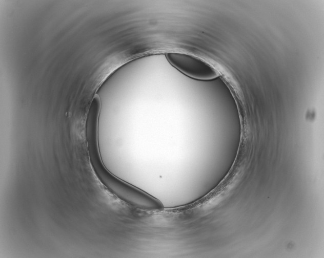 X0000093570905200711121034