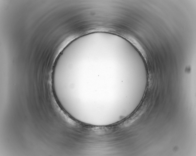 X0000093570906200711121034