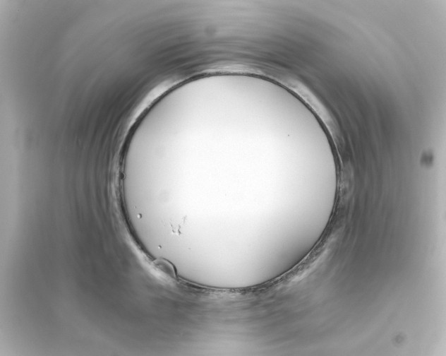 X0000093570909200711121034