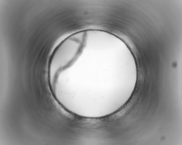 X0000093570910200711121034