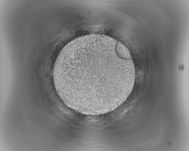 X0000093570913200711121033