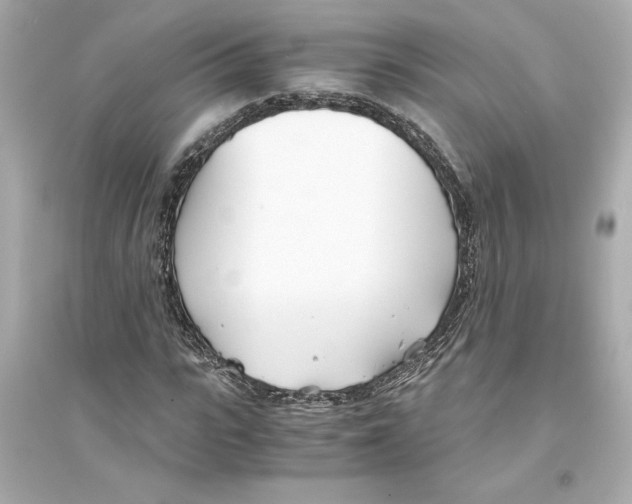 X0000093570919200711121033