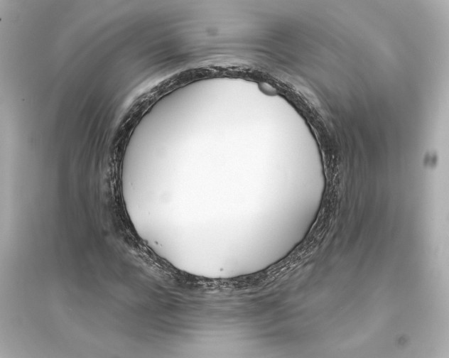 X0000093570920200711121033