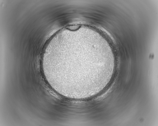 X0000093570921200711121033