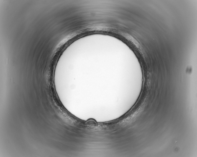 X0000093570922200711121033