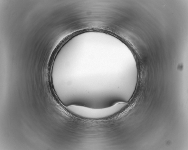 X0000093570924200711121033