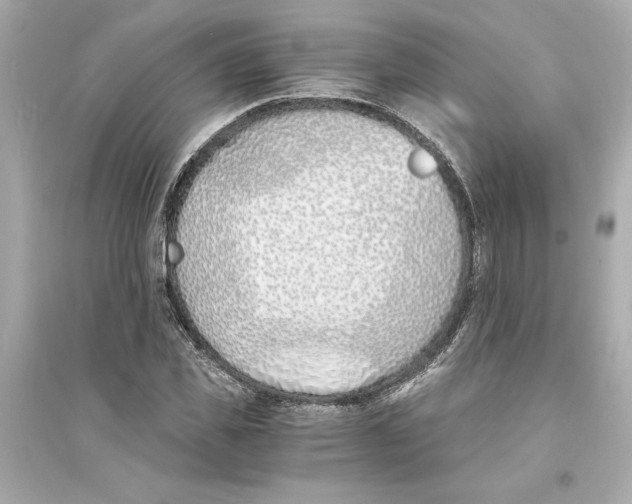 X0000093570925200711121033