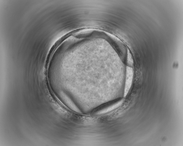X0000093570928200711121034