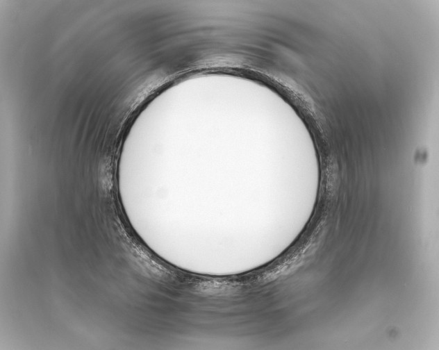 X0000093570929200711121034