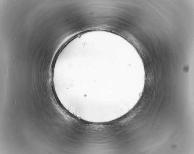 X0000093570940200711121034
