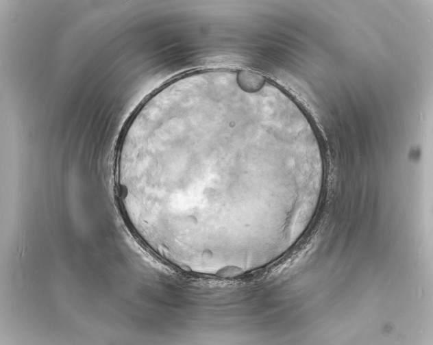 X0000093570941200711121034