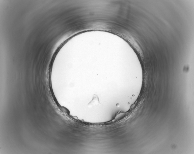 X0000093570944200711121034