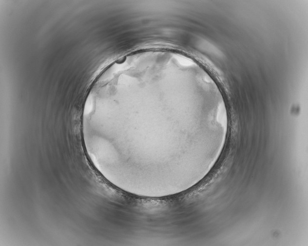 X0000093570945200711121034