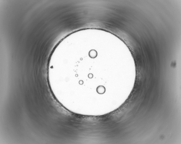 X0000093570950200711121034