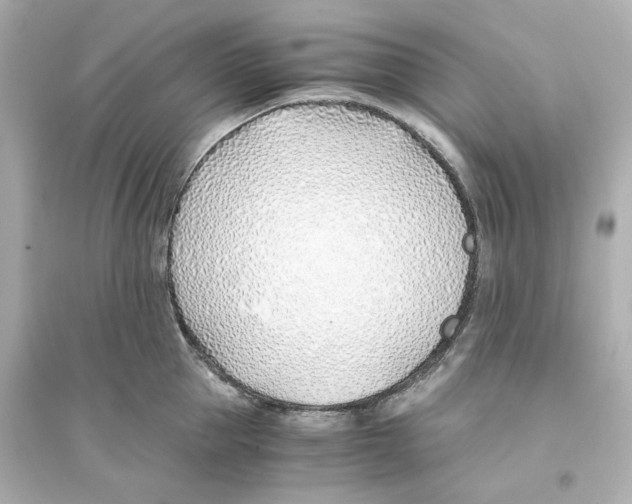 X0000093570953200711121034