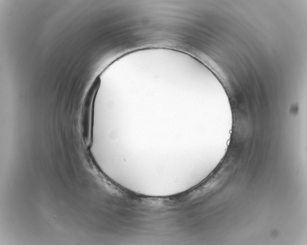 X0000093570956200711121034