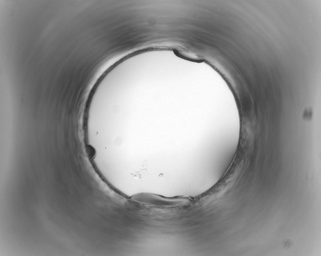 X0000093570959200711121034