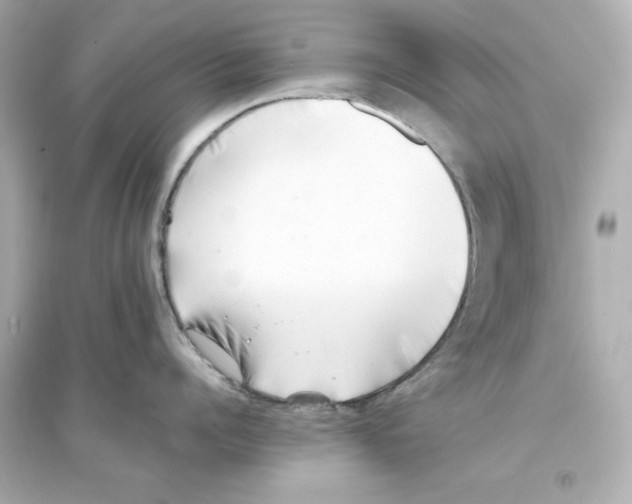 X0000093570960200711121034