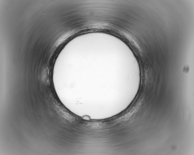 X0000093570970200711121033