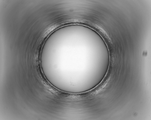 X0000093570977200711121033