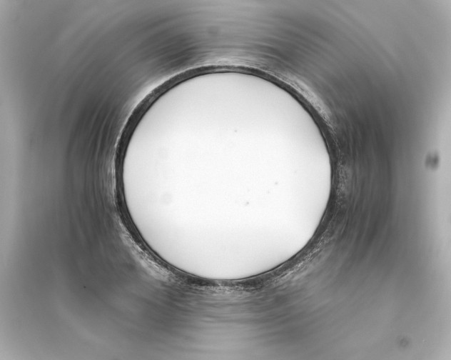 X0000093570980200711121033