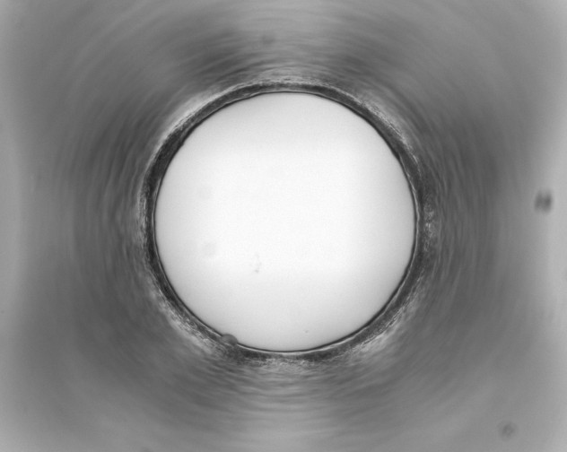 X0000093570981200711121033