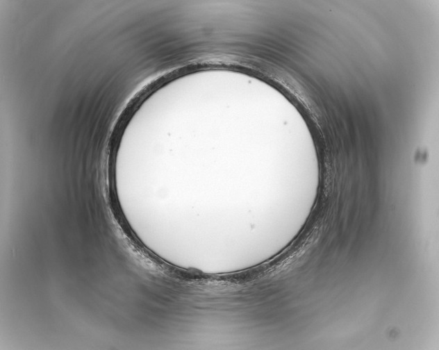 X0000093570984200711121033