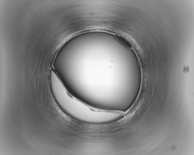 X0000093570985200711121033
