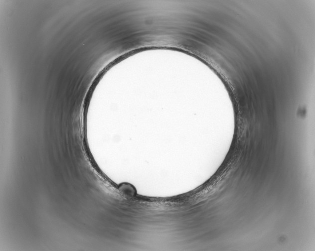 X0000093570988200711121033