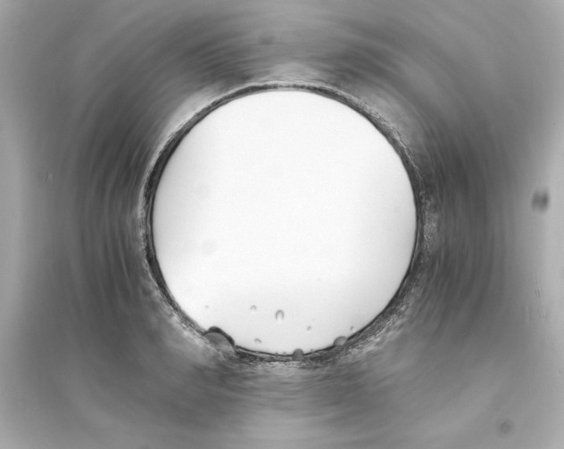 X0000093570990200711121033