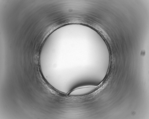 X0000093570993200711121033