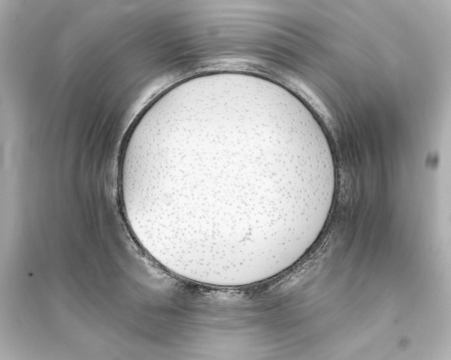 X0000093570994200711121033