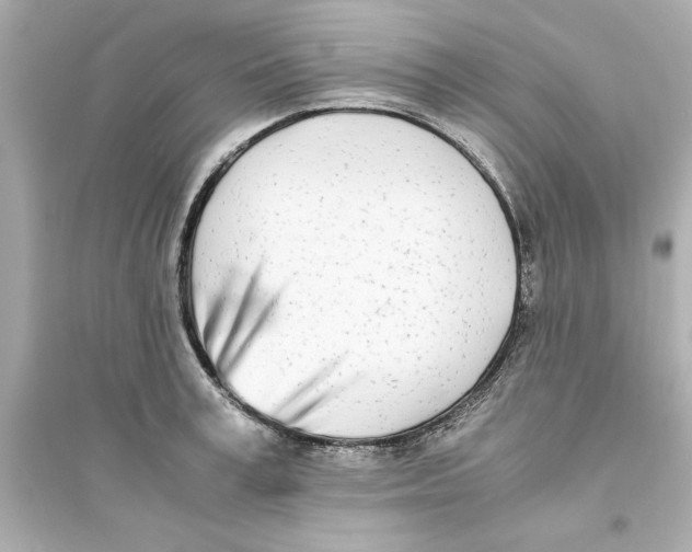 X0000093570995200711121033