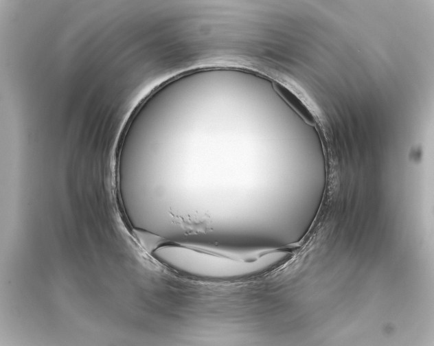 X0000093570996200711121033