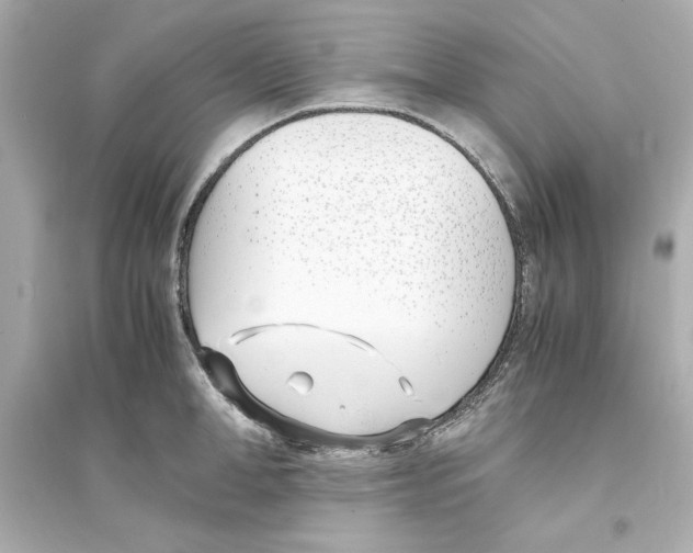 X0000093570998200711121033