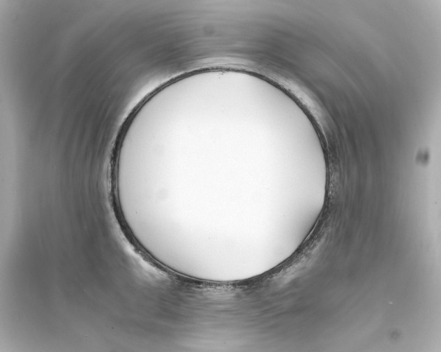 X0000093570999200711121033