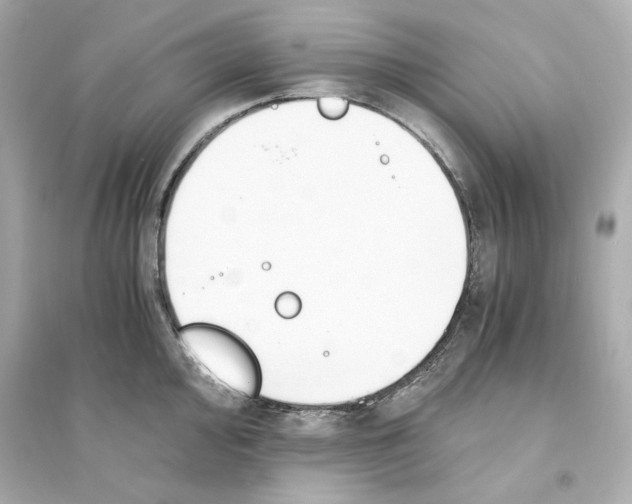 X0000093571000200711121033