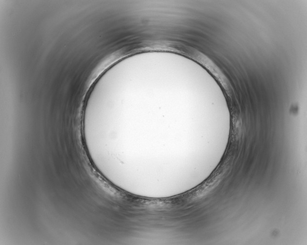 X0000093571002200711121033