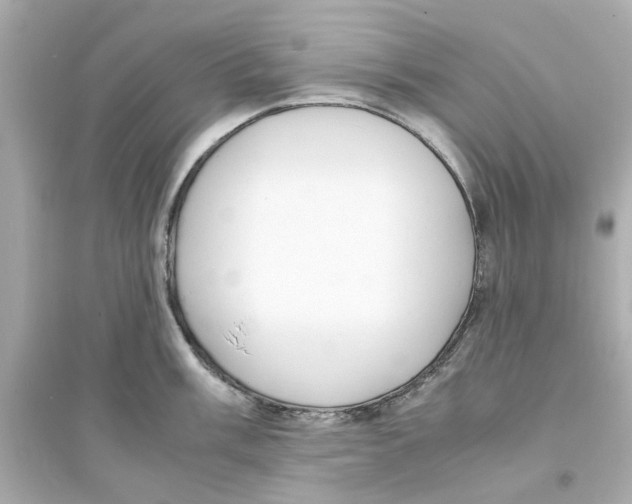 X0000093571003200711121033