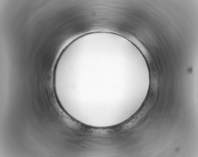 X0000093571004200711121033