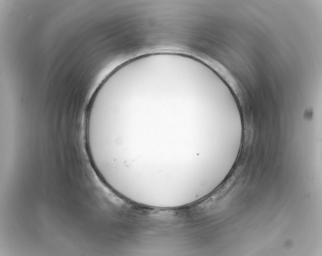 X0000093571006200711121033
