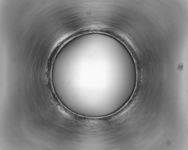 X0000093571018200711121032