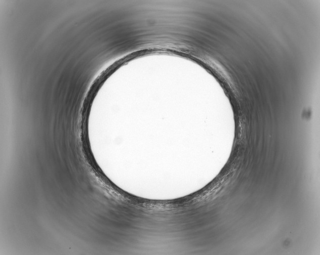 X0000093571020200711121032