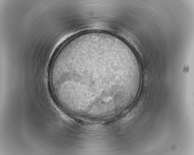X0000093571024200711121032