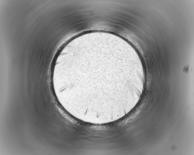 X0000093571037200711121032