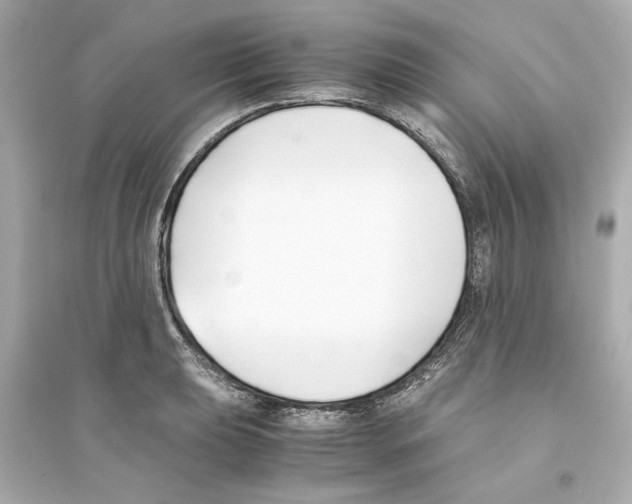 X0000093571039200711121032