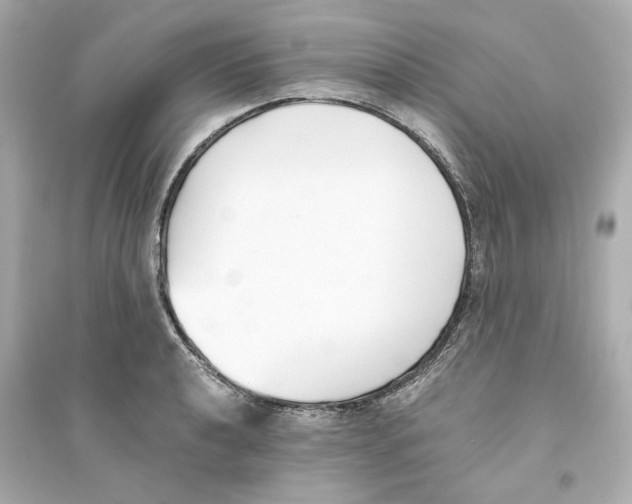 X0000093571040200711121032
