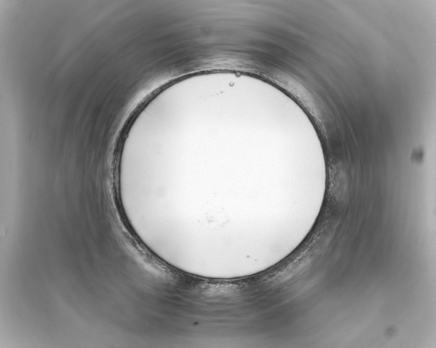 X0000093571043200711121032